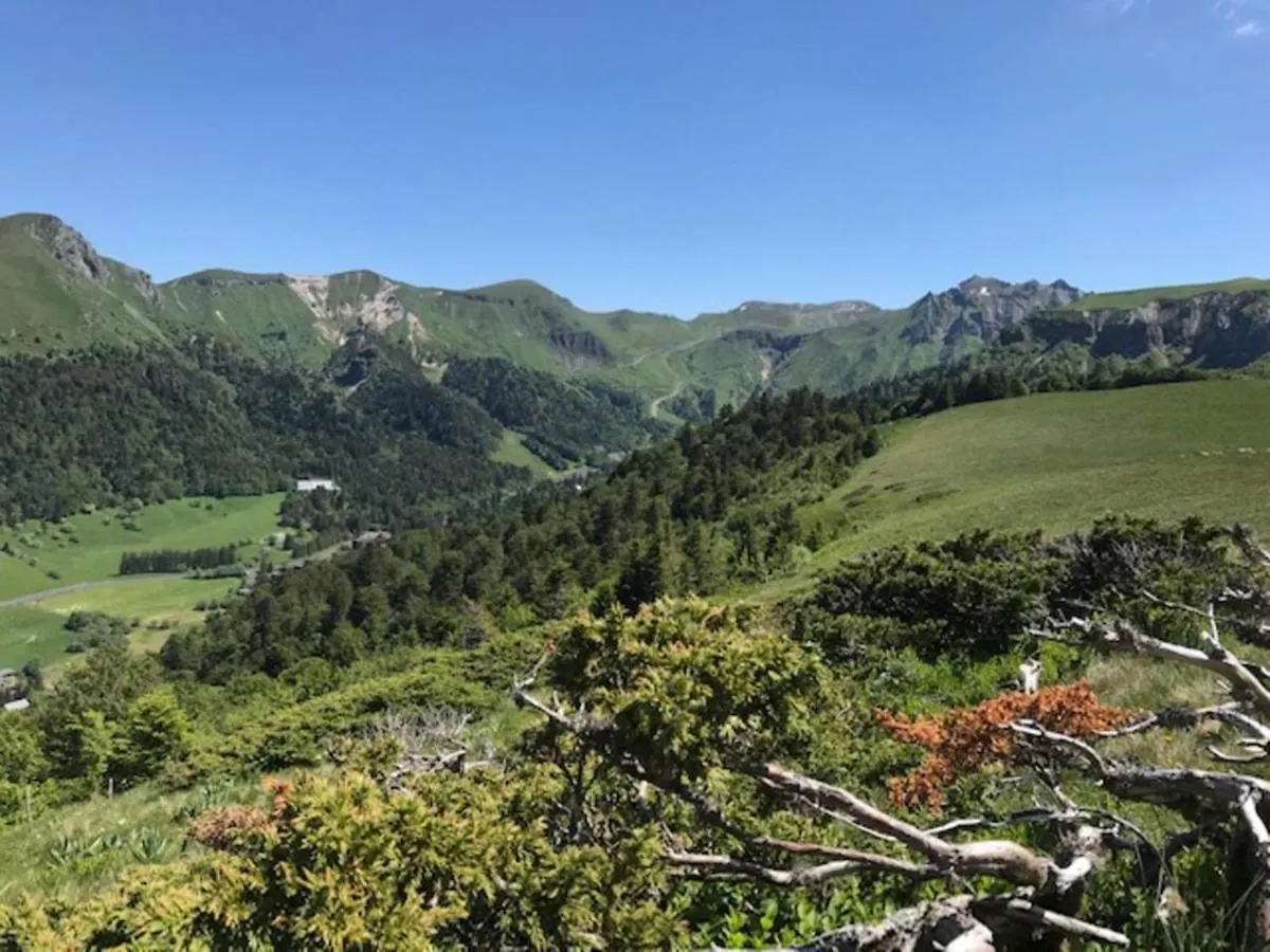 Mont-Dore Centre: T2 Bis 4 Pers, Wifi, Tout Equipe - Fr-1-608-89 France