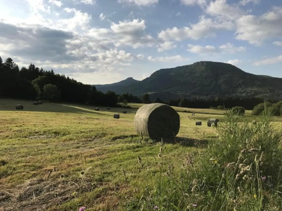 Mont-Dore Centre: T2 Bis 4 Pers, Wifi, Tout Equipe - Fr-1-608-89 Le Mont-Dore