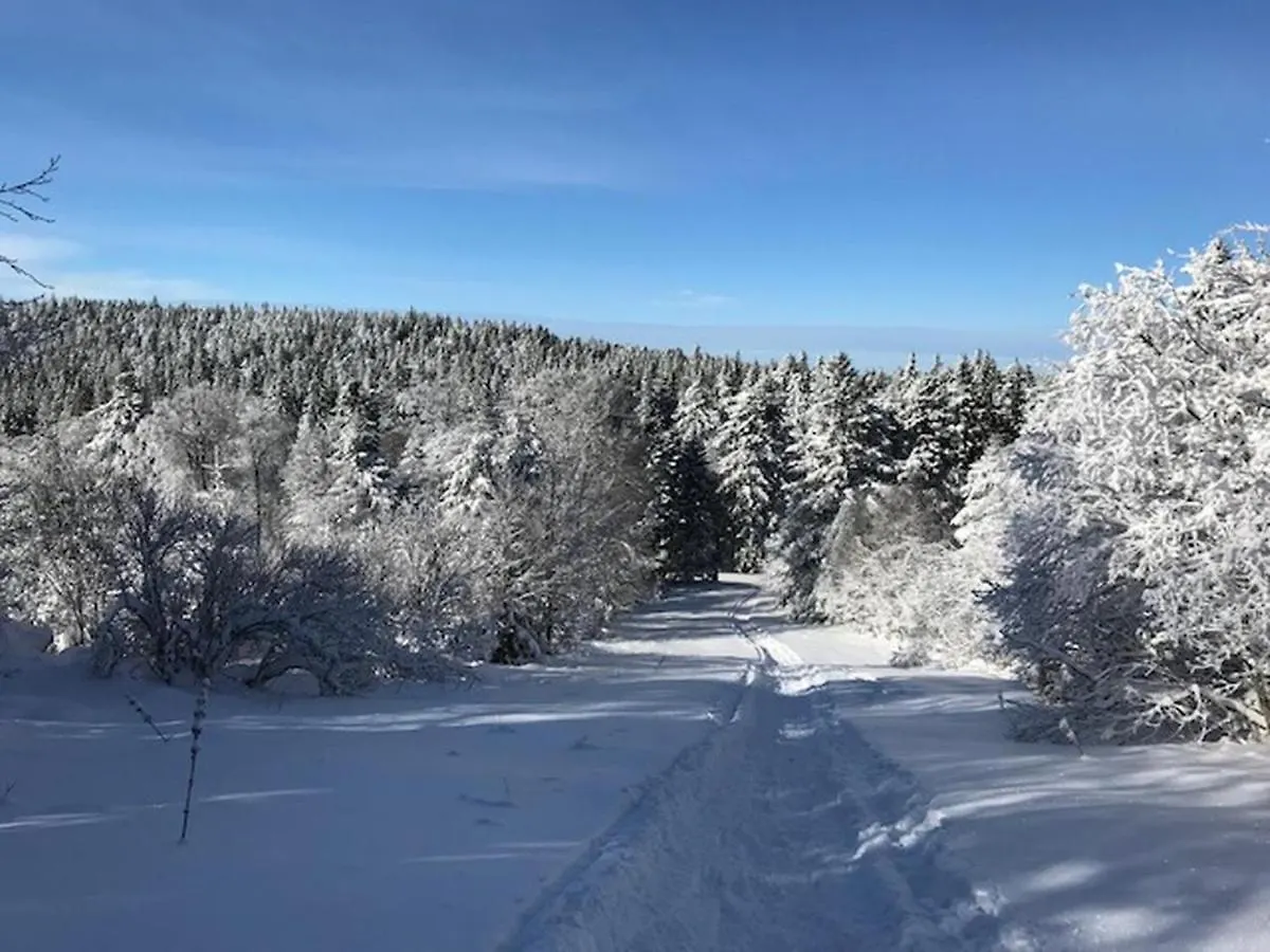 Mont-Dore Centre: T2 Bis 4 Pers, Wifi, Tout Equipe - Fr-1-608-89
